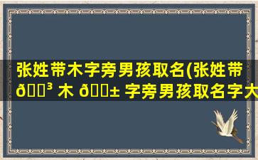 张姓带木字旁男孩取名(张姓带 🌳 木 🐱 字旁男孩取名字大全)